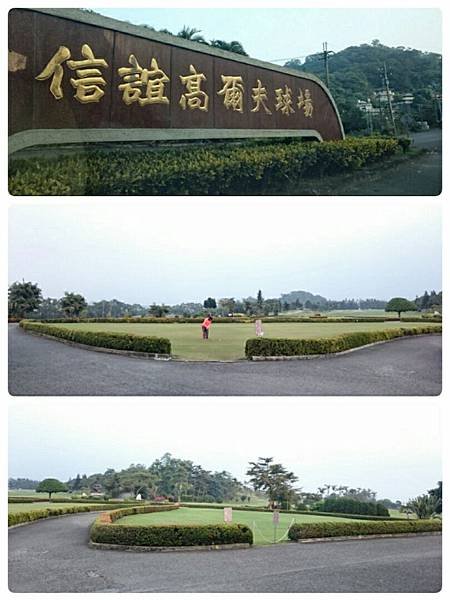 img1453457275200