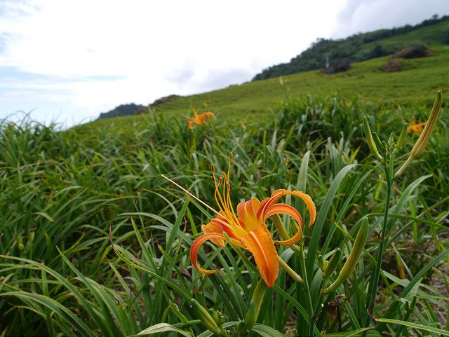 P1440153