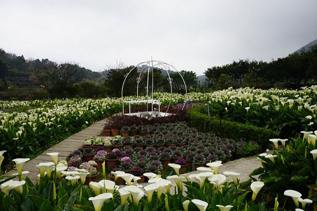 DSC01280
