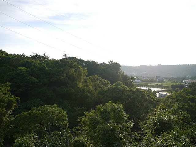 P1360172