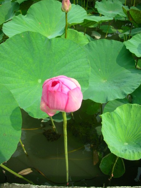 DSCN6358.JPG