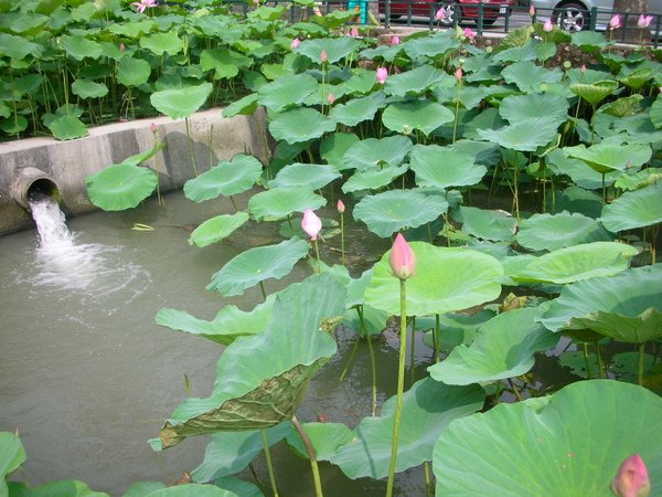 DSCN6359.JPG