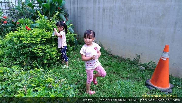 P_20170523_100056_vHDR_On_p.jpg