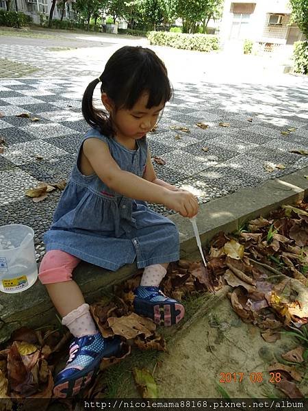 DSC03938.JPG