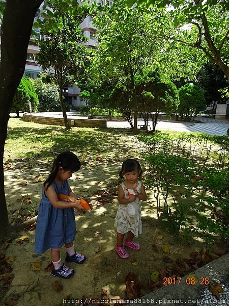 DSC03943.JPG