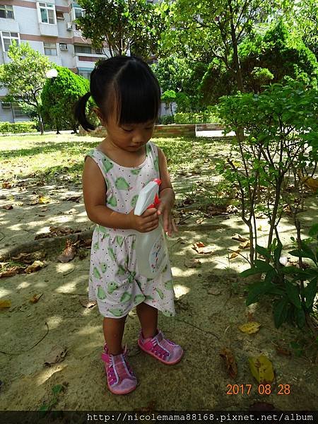 DSC03942.JPG