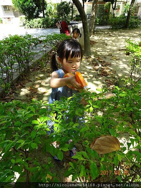 DSC03944.JPG