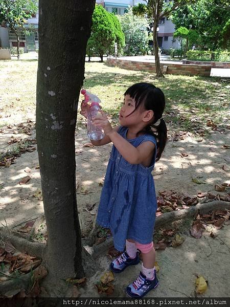 P_20170828_100031_vHDR_Auto.jpg