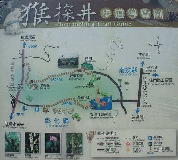 DSC04519.JPG