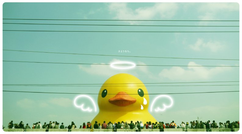 小鴨-11