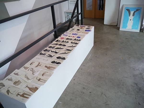 P2620520.JPG