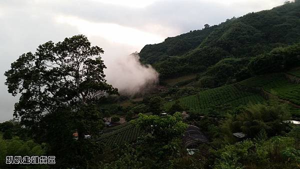 阿將的家