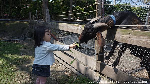 DSC03869.JPG