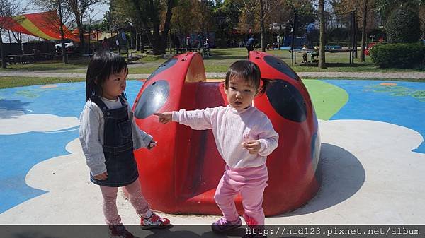 DSC03925.JPG
