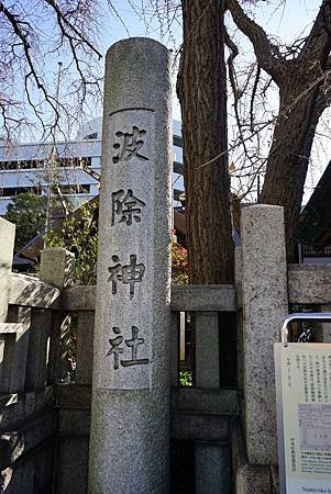 DSC00534.JPG