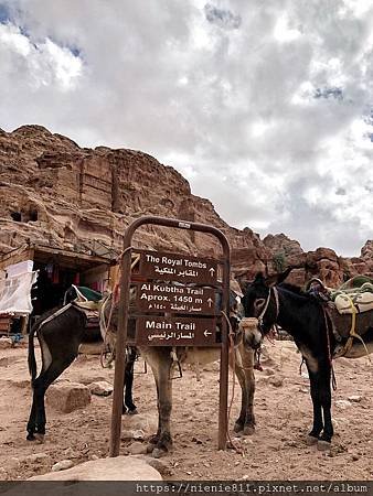 IMG_9329[1].JPG