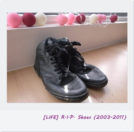 20110402RIPShoes.JPG