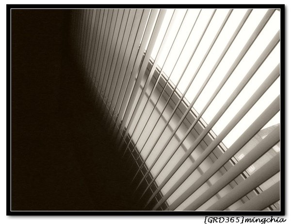 2009_0728_晨光.jpg