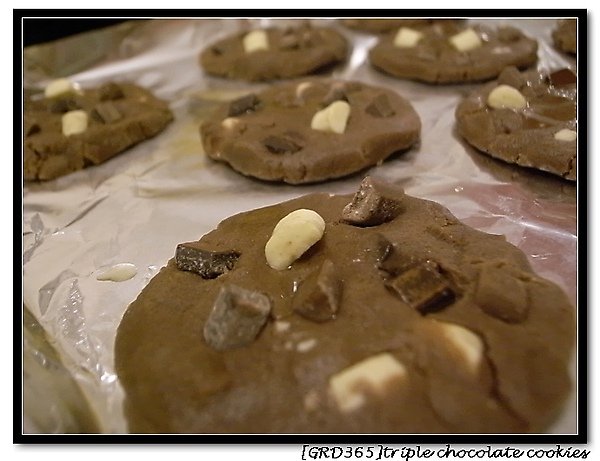 2010_0313_triple chocolate cookies.jpg