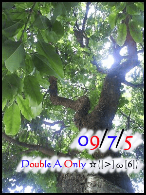 09/7/5 Double A Only ☆([&gt;]ω[6])