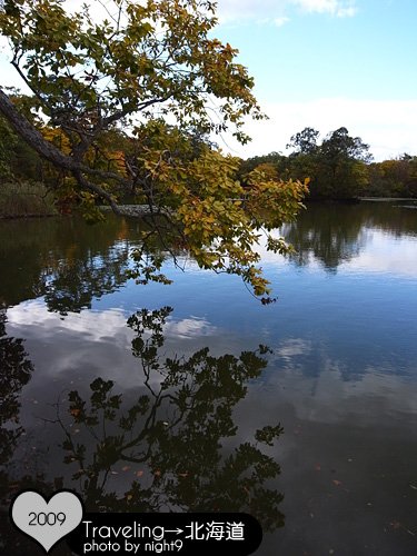 大沼公園