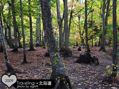 羊蹄山名水公園