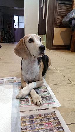 IMAG0878.jpg