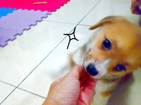 20090608403.jpg