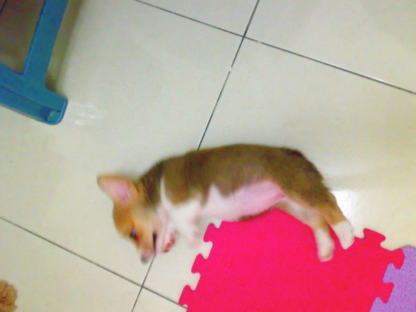 20090608406.jpg