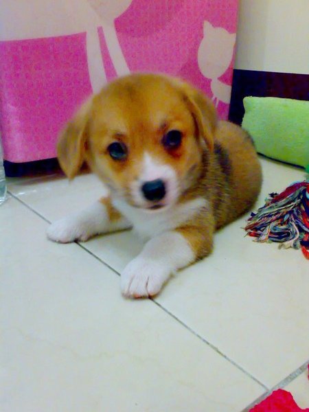 20090608412.jpg