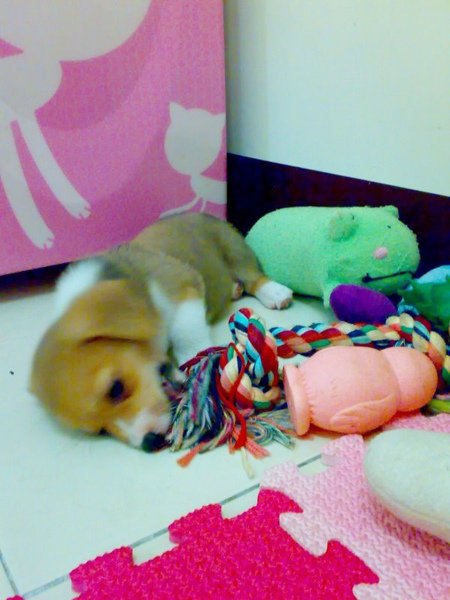 20090608413.jpg