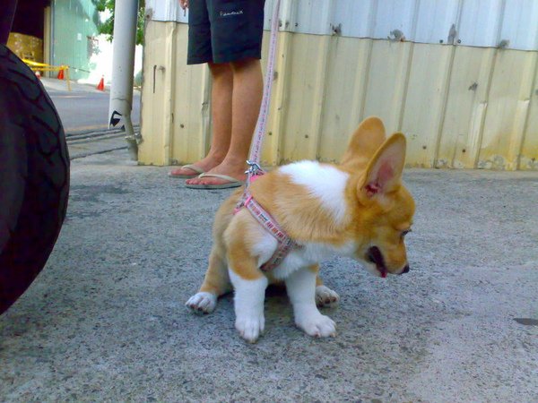 20090723421.jpg