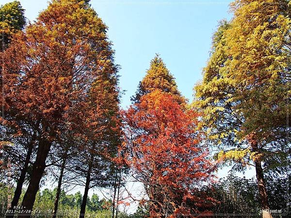 菁芳園