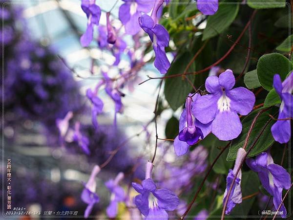 菁芳園