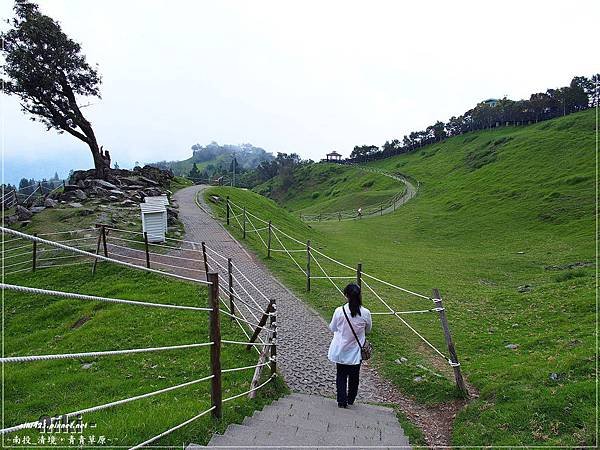 青青草原