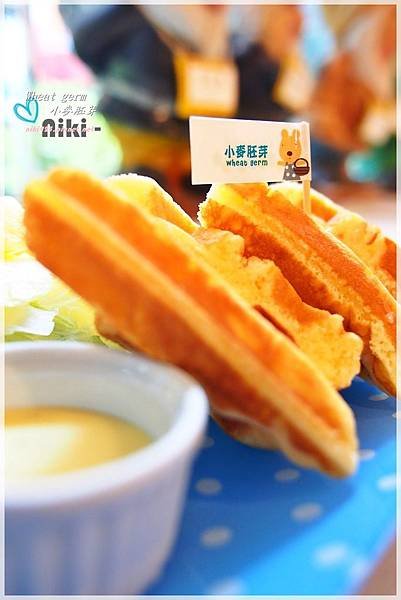 小麥胚芽wheat germ