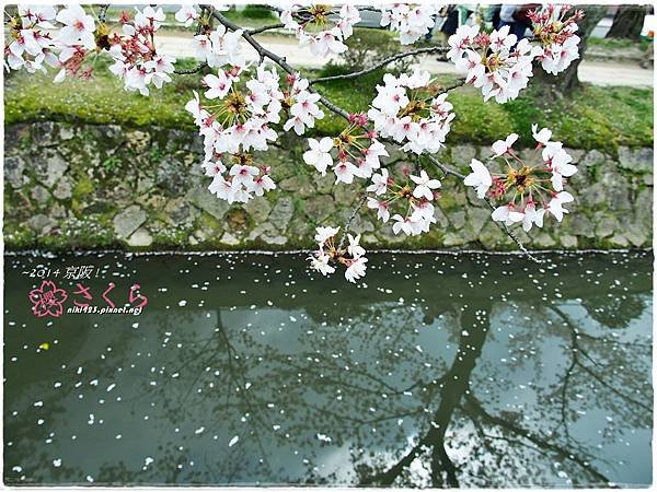 哲學之道