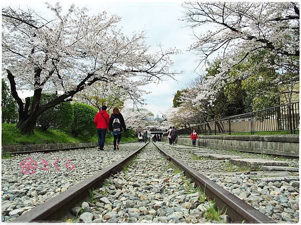 琵琶湖疏水館.蹴上鐵道