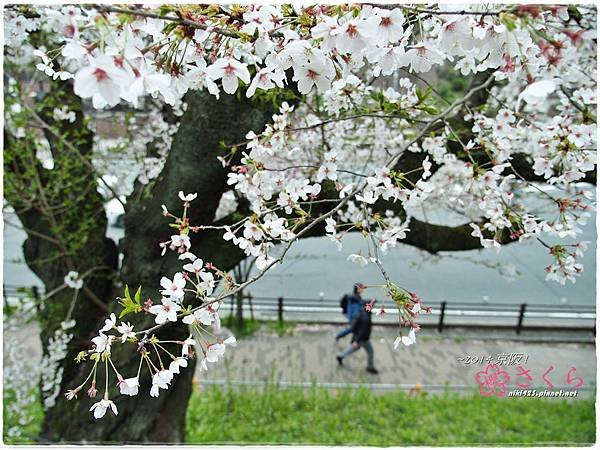 琵琶湖疏水館.蹴上鐵道