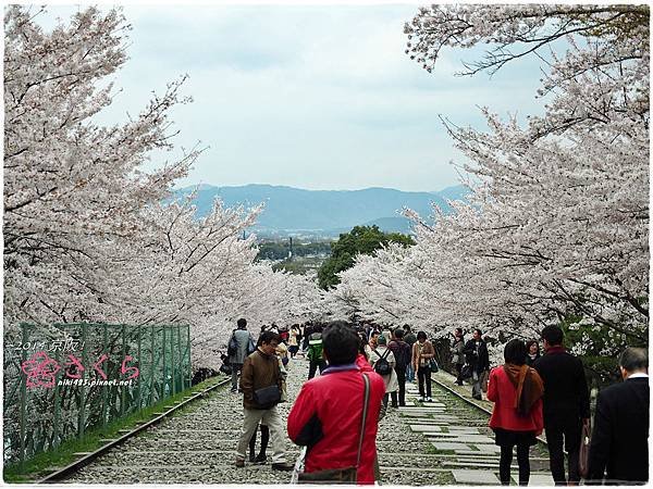 琵琶湖疏水館.蹴上鐵道