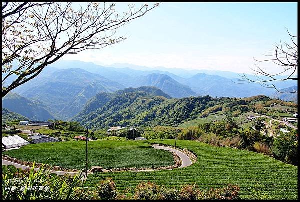 傳說路.二延平步道