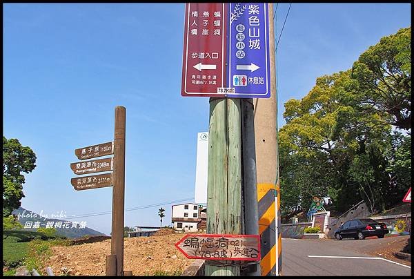 青年嶺&amp;太和村茶園