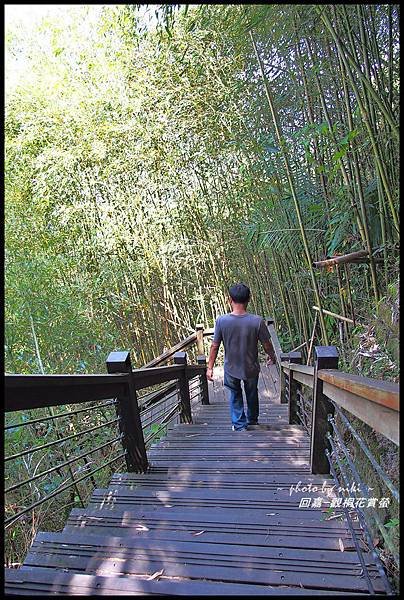 青年嶺&amp;太和村茶園