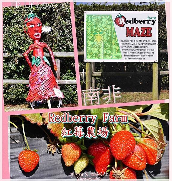 Redberry Farm紅莓農場