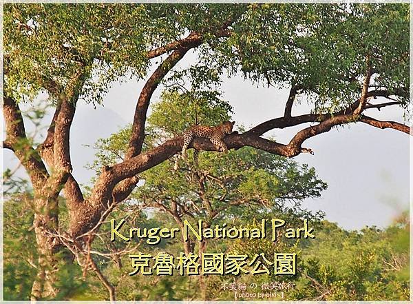  Kruger National Park克魯格國家公園