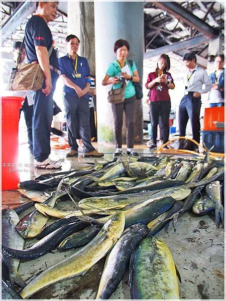 台東成功一日旅遊美食懶人包