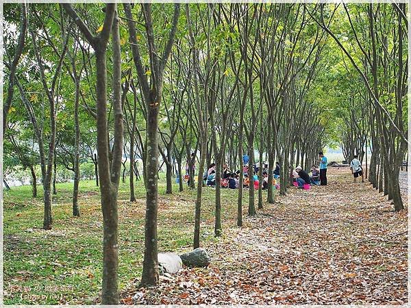 屏東潮州旅遊景點_大武山下.林後四林平地森林園區