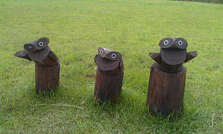 IMAG0011.jpg