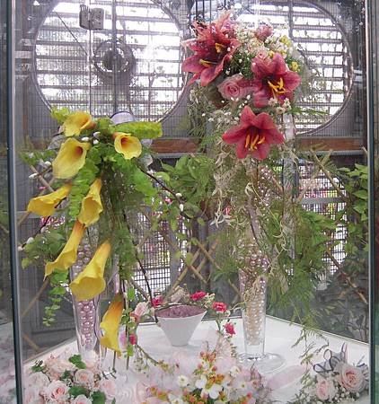 DSCN0258.JPG