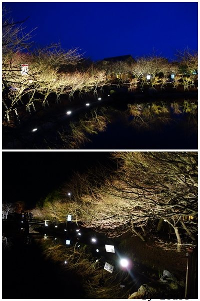 NABANA_8倒影.jpg